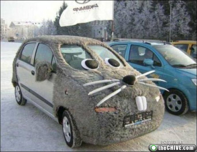 Creative Rat Car 
