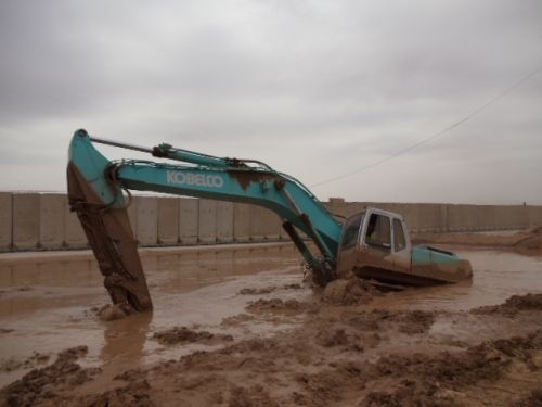 Crane in the Mud 