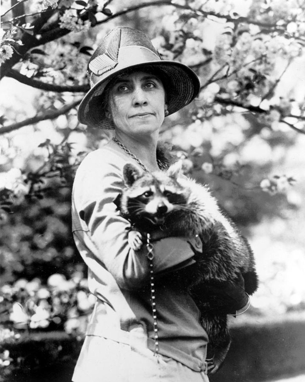 Grace Coolidge with a raccoon