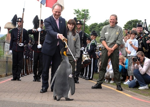 Norwegian Army Knighted This Penguin 