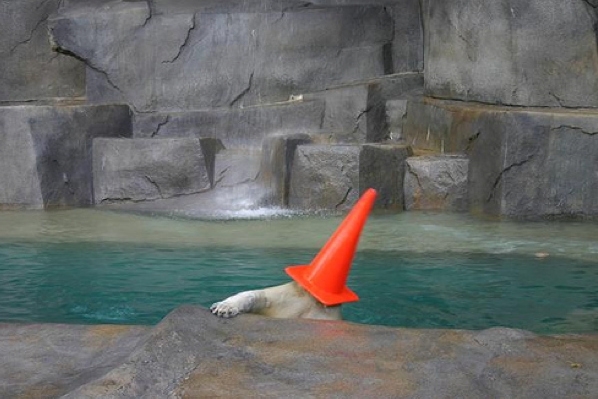 Polar Bear Hat 