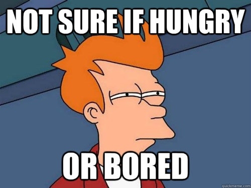 Hungry or bored 