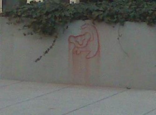 Best Graffiti from Anonymous Artists