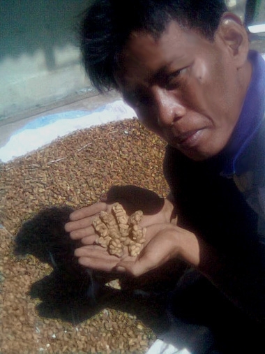 19. Kopi Luwak is the most expensive coffee in the world and sells for anywhere between $100-600/lb, with a specialty bl