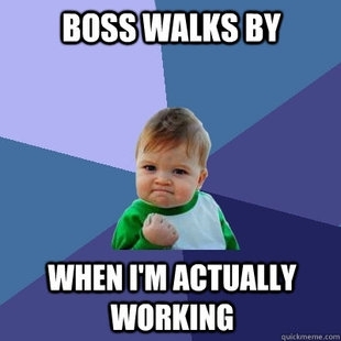 Success Kid meme