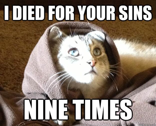 Best of the Kitty Jesus Meme