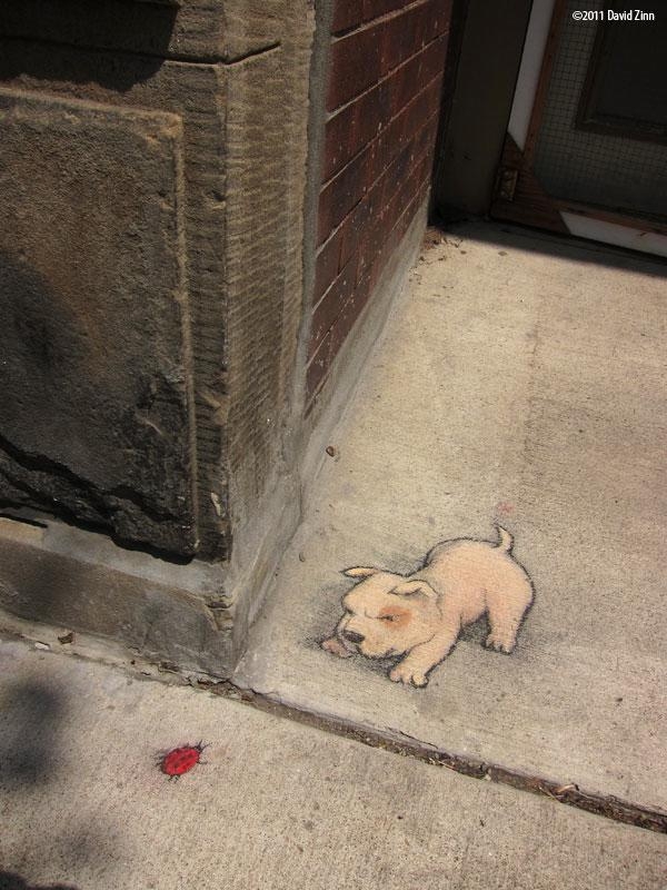 Clever Chalk Art by David Zinn