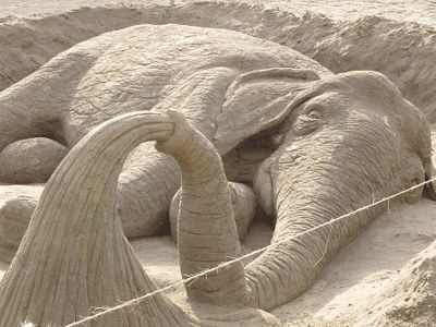 Sand Elephant