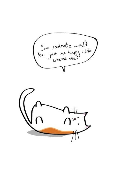 Hard Truths from Soft Cats