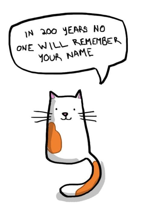 Hard Truths from Soft Cats