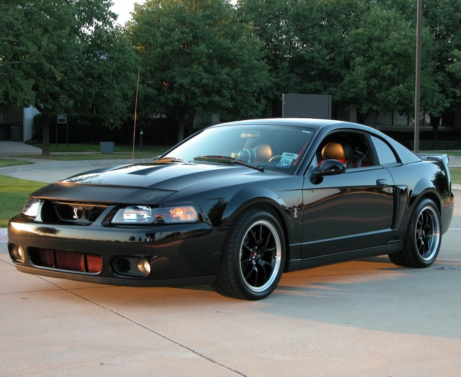 Old school Mustang