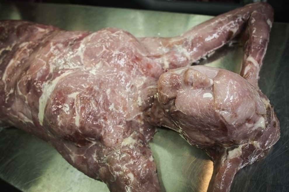 Weirdest thing ever: Human Flesh Meat Market Opens In London