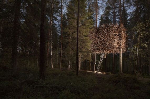 Check Out These Amazing Tree Hotels.