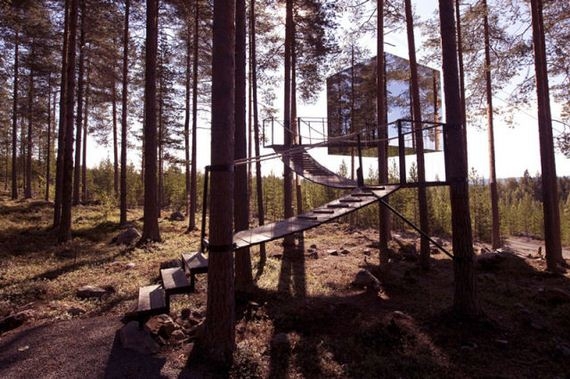 Check Out These Amazing Tree Hotels.