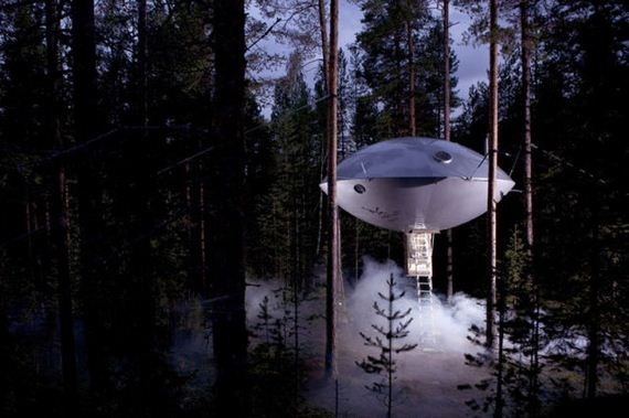 Check Out These Amazing Tree Hotels.