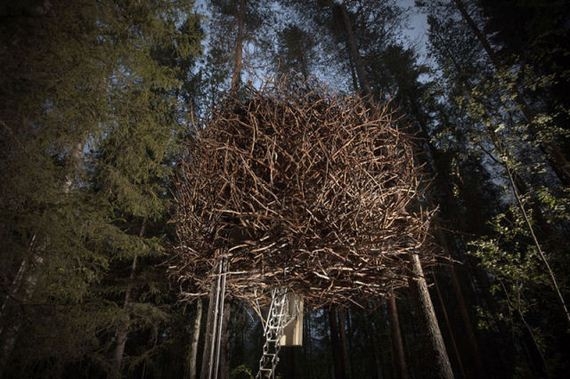 Check Out These Amazing Tree Hotels.