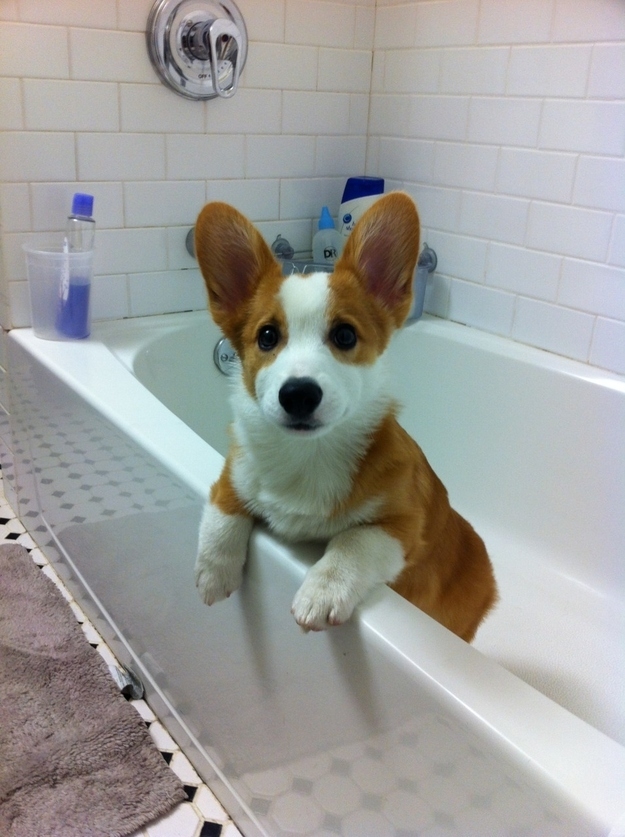 Adorable Bathtime Moments