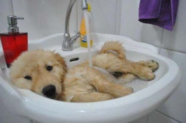 Adorable Bathtime Moments