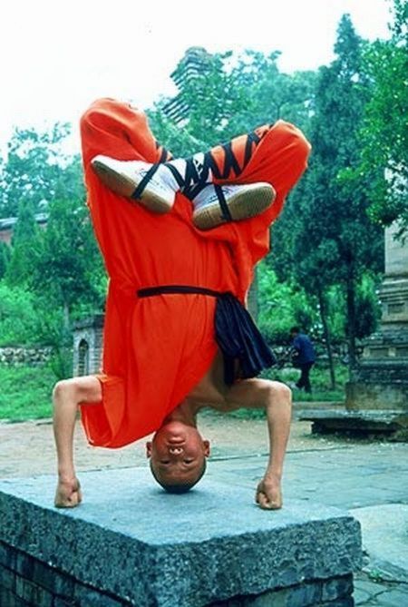 Amazing Shaolin Monks