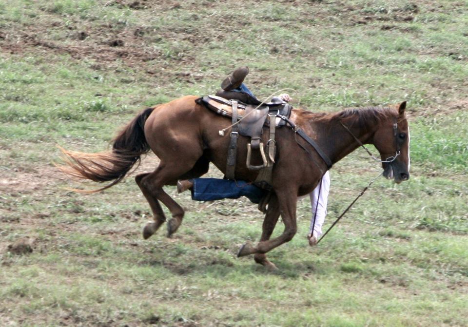 Chuckwagon Championships 2012