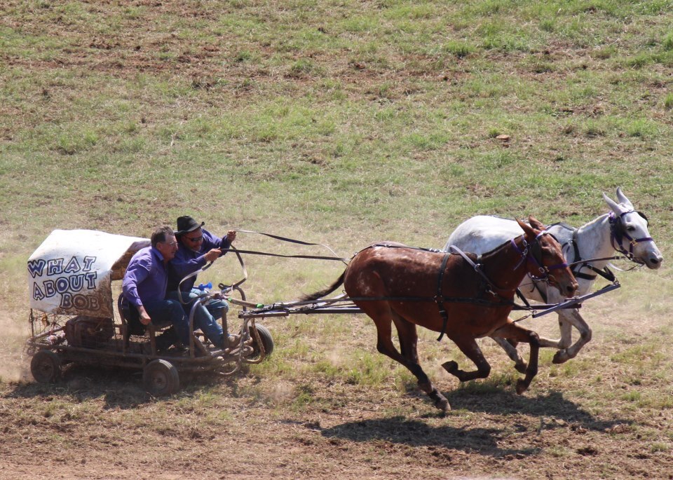 Chuckwagon Championships 2012