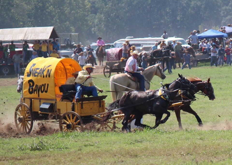 Chuckwagon Championships 2012