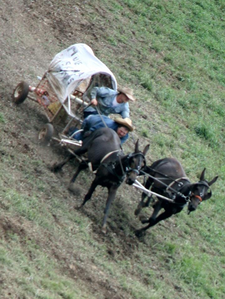 Chuckwagon Championships 2012