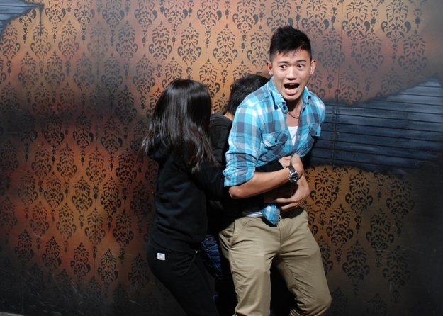 Bro's begin scared at haunted houses 
