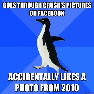 Socially Awkward Penguin 