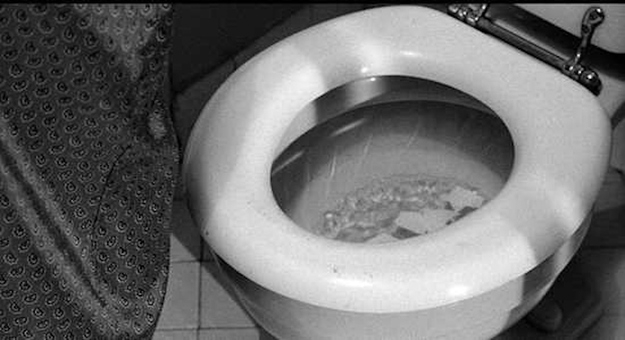 'Psycho' was the first movie to show a toilet flushing.