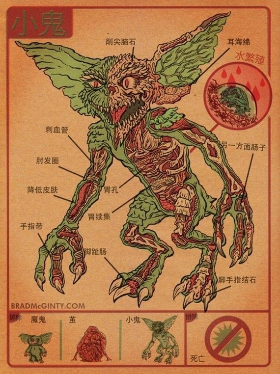 Anatomy of Monsters