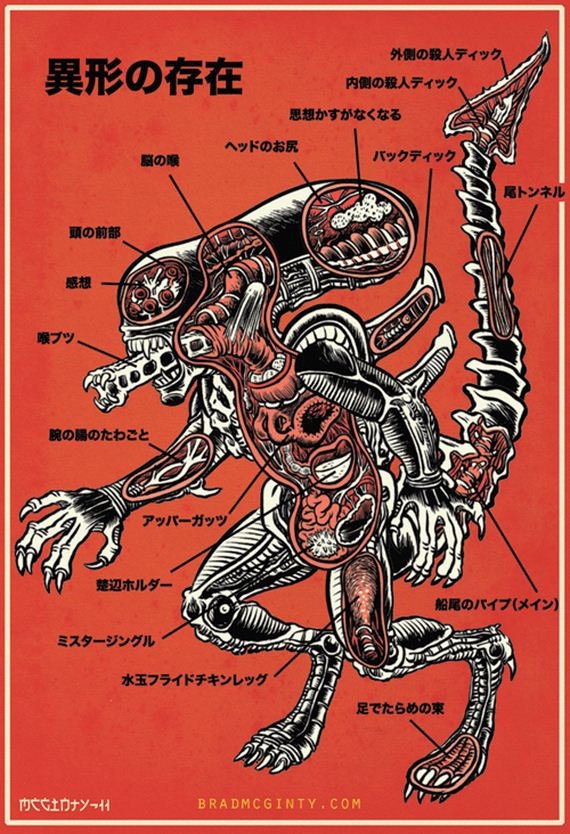 Anatomy of Monsters