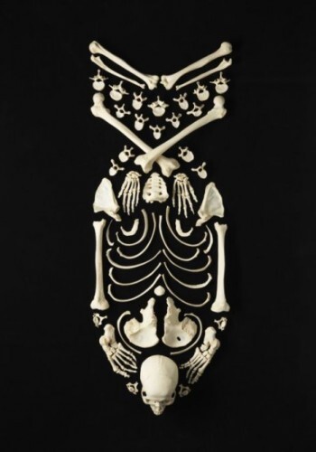 Skeleton Art