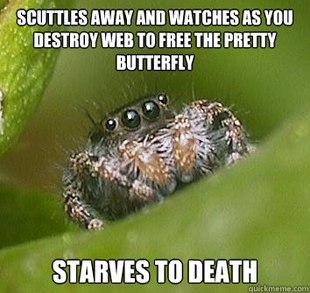 Misunderstood Spider: A meme