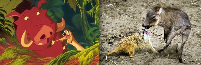 Adorable Disney Animals Brought to Life