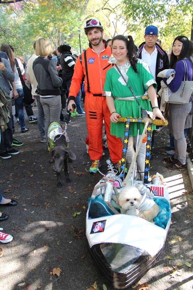 Cutest Puppy Costumes