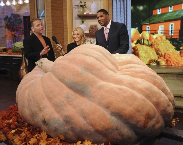 The world's largest pumpkin weighed in at 1,872 pounds.