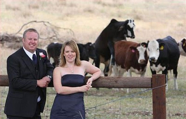 Fail Blog: Wedding Edition