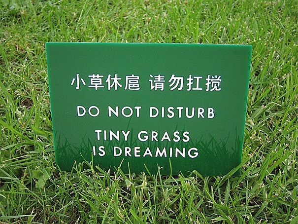 Wacky Translated Signs