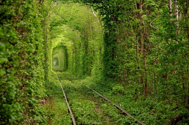 Tunnel of Love - Kleven, Ukraine