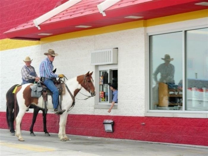 The Most Unusual Drive-Thru Customers