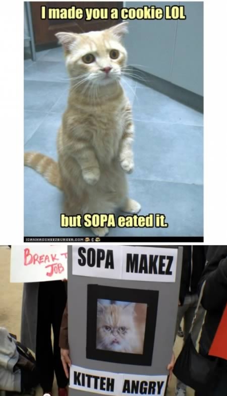 Rememeber the SOPA/PIPA protests?
