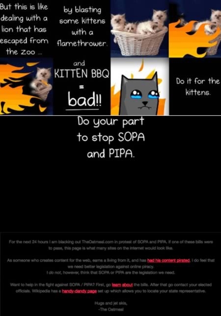 Rememeber the SOPA/PIPA protests?