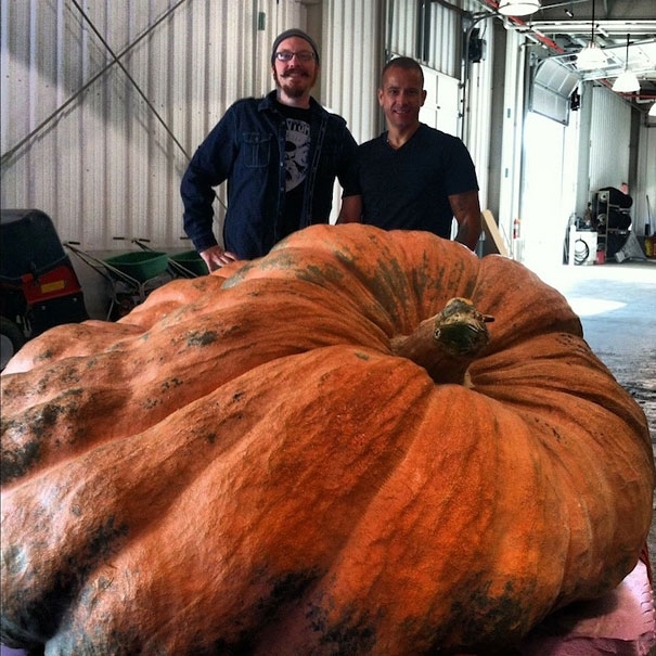 Amazing Pumpkin Carvings by Ray Villafane 