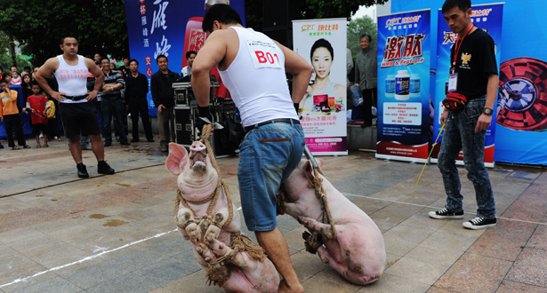 Annual Pig Carrying Competition