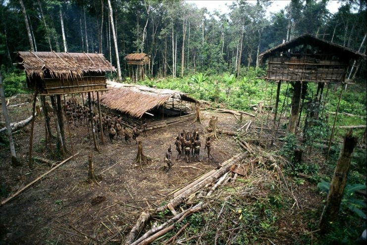 Tree Houses of the Korowai Tribe of New Guinea 