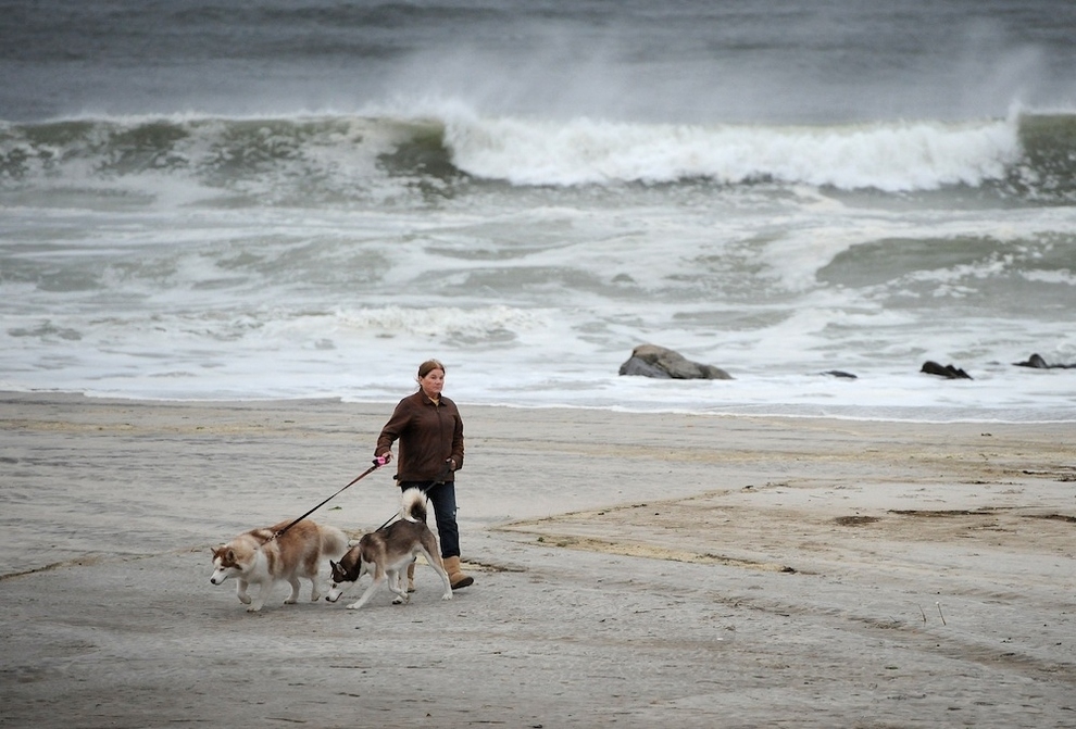 These People Give No Fucks About Sandy