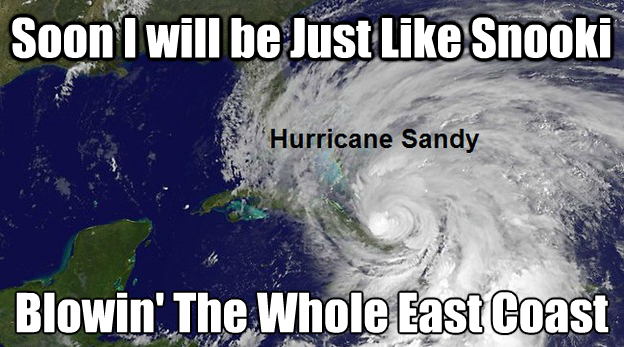Hurricane Sandy Memes: Too soon?