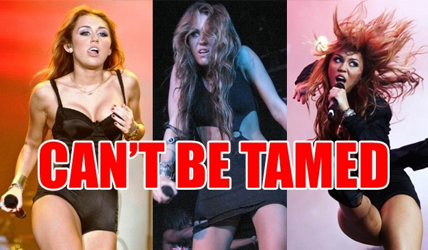 The Can't Be Tamed Era 
