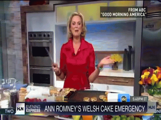 Later, Ann Romney's career as a stay-at-home-mom became cause for controversy. 